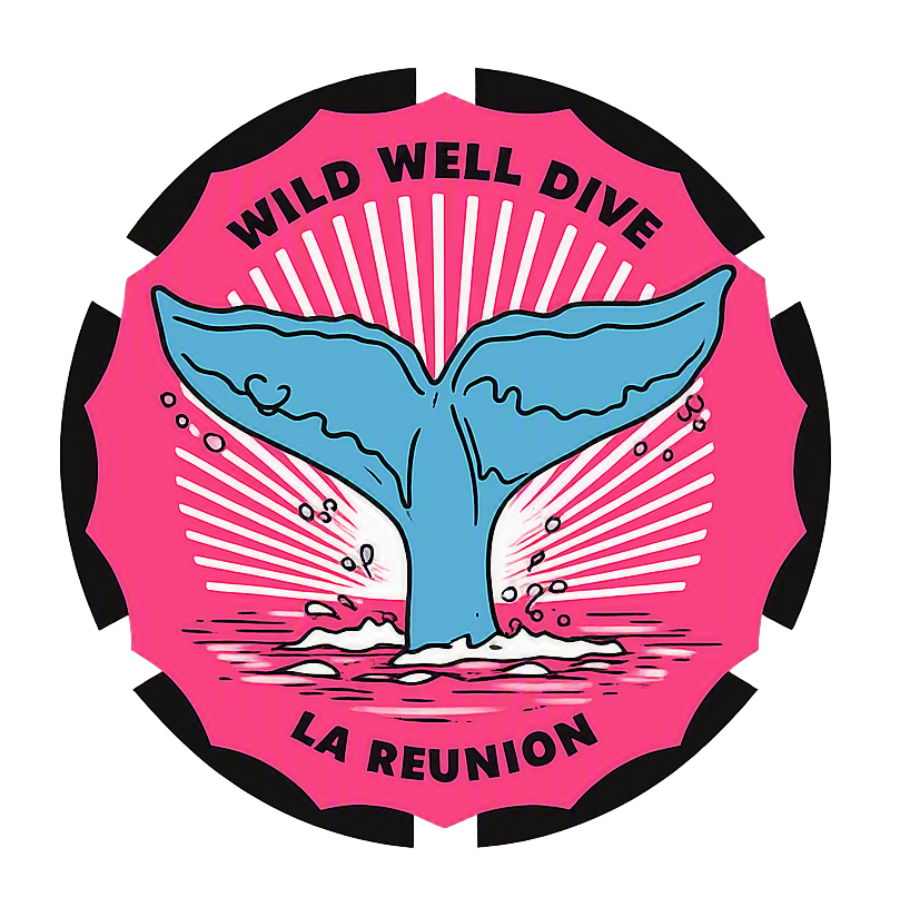 Whale Diving